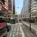 교차로 섬형 인도 | 홍콩여행 3일차 | 트램투어 노천시장 스타페리 침사추이 거리