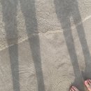 미녀국수월정 네이버블로그