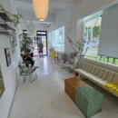 하비펫샵 이미지