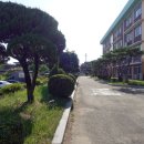 청사도서관 이미지