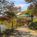 입곡군립공원(산림욕장) 이미지