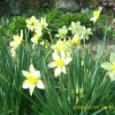 하얀둥지 이미지