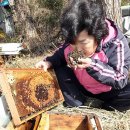 강정동-65 이미지