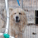 짱오농장 이미지