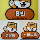 애견펫택시 펫밴 | 동대구역 신세계백화점 근처 대구신천동애견유치원 추천, 펫사랑애견유치원 후기