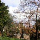 마리아의 집 이미지