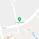 유일유치원 | 노령견 물리치료! 안산에서 유일하게 비비레이(LLLT) 사용하는 안산애견유치원 멍쓰홀릭