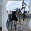 유플러스덴탈 | #후기들로 가득한 11월 첫째주