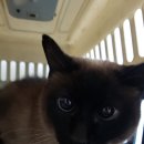 장평3로 이미지