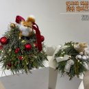 데우즈