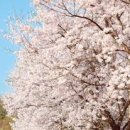 바이크 탐방로2 이미지