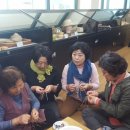 제주이글여행사