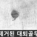 쥬만지동물의료센터 이미지