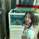 착한낙지쌍용점 | 천안 쌍용동 착한낙지 천안쌍용점 가족외식