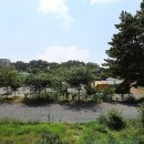 태안캠핑농원 이미지