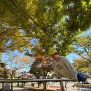 명동보리밥 김포점 이미지