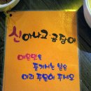 신아나고