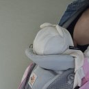 에르고 베이비 아기띠 옴니 브리즈 힙시트 알타 조합 통통한 아기 추천 사용후기 핫딜