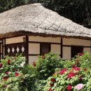 강진힐링하우스 이미지