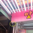 조은정육점 이미지