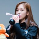 보고유치원 이미지