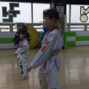 TS태성태권도 아카데미 이미지