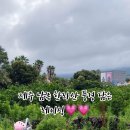 1947 | 제주도카트 국내최장거리 윈드1947 테마파크 후기