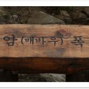 관문초등 이미지