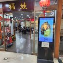 사파동211 이미지