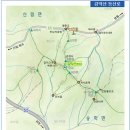 954 이미지