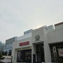 안양본동물의료센터 | 안양 본동물의료센터 고양이 위종양 내시경 세침흡인검사