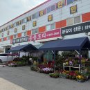 꽃꽂이B | 김포꽃집 몽플로리 개업화분 분갈이 김포꽃배달 가능한 꽃꽂이용 생화 구매 후기