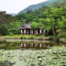 진도 운림산방 이미지