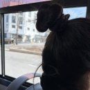 준파스타