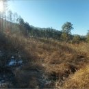 춘천지방법원 영월지원 이미지