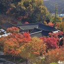 용호동 숲길 공중화장실 | 경기도 광주 가을 화담숲 화담채 예약 관람 방문 후기