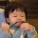 보보플라워 | 보보쇼즈 빅플라워 9M 후기