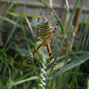 연지초교 이미지