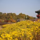 금마늘마을 이미지