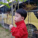 성원어린이집 이미지