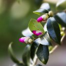 제주리조텔 이미지