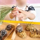 광교로 | 수원영유 고민하다가 ELS리틀소시에광교로 가게된 후기