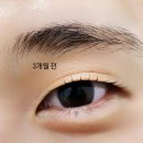 하라네일앤아이래쉬 | 창원 상남동 속눈썹펌 원앤온리아이래쉬 무쌍 내돈내산 후기
