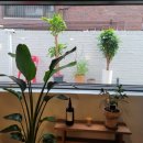 청호공원1 이미지