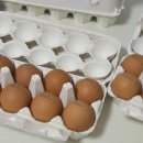 양촌농원 1농장 이미지