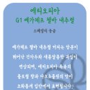 무궁화커피피었습니다