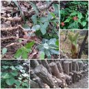 골짜기농장 이미지