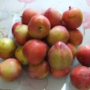 경희남촌한의원 이미지