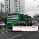 태성여객 이미지