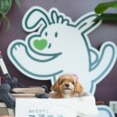 상명달공원 | 킁킁쿵쿵 캠페인 시즌3, 반포 한강 공원 강아지 산책 및 행사 후기